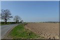 SE5447 : Fields between Askham Bryan and Askham Richard by DS Pugh