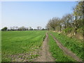 Track off Shipton Lane