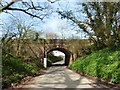 SY1399 : Railway bridge, west of Honiton by Roger Cornfoot