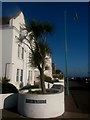 SU5600 : Lee-on-the-Solent: palm tree on the corner of Pier Street by Chris Downer