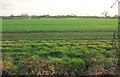 SE3865 : Farmland by the Tutt by Derek Harper