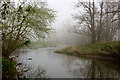 The River Yeo joining the River Taw near Chenson