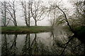 Looking up the River Yeo from the River Taw