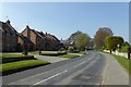 Houses along Wighill Lane