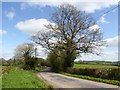 Country road to the north-west of Raglan