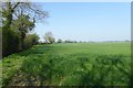 Farmland beside Old Street