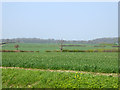 TL6648 : Farmland north-east of Withersfield by Robin Webster