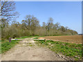 Public footpath east from Skippers Lane