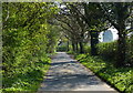 Heading east along Sand Lane at Torksey