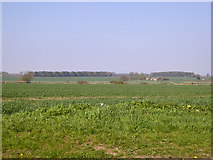 TL7353 : View north from road near Moat Farm by Robin Webster