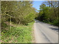 Looking along Freshfield Lane from footpath junction