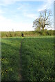 Public footpath to Wappenham