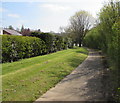 Path from The Alders to Llanfrechfa Way, Cwmbran