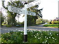 TQ3827 : Signpost at road junction in Horsted Keynes by Shazz