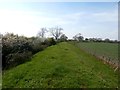 Dyke and Footpath at Woodhouse Green