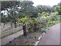 Tropical Gardens, Alum Chine, Bournemouth