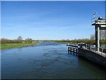 TL3672 : River Great Ouse by Matthew Chadwick