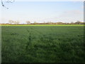 Field near Hobground