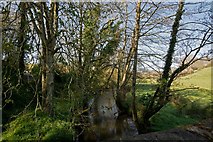 SS7203 : Looking up the River Yeo from Tuckingmill Bridge by Roger A Smith