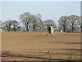 NN8520 : Standing stone at The Balloch by M J Richardson