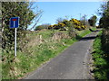 Lane leading up hill from Leitrim Road