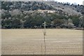 Pylon in a field