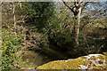 Looking down the River Yeo from Cullaford Bridge