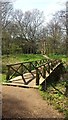 SU7371 : Wooden footbridge, Whiteknights Park, Reading by Chris Wood