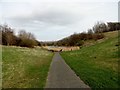 Path at Silksworth Sports Centre