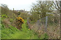 Path to Hill Street from East Cliff