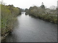 The River Earn at Comrie