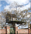 House in a birch tree