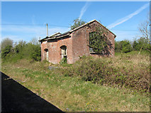 M5930 : Derelict trackside building near Attymon station by Gareth James