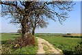 Leeds Country Way heading East from Scholes