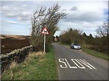 SK3068 : Double bend on Longside Road by Graham Hogg