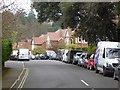 Chester Road, a leafy residential street