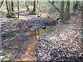 TQ4033 : Iron rich stream in Ashdown Forest by Marathon