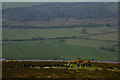 Sedgemoor : Crook Peak Scenery