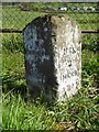 Milestone near Gwernesney