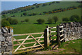 Sedgemoor : Grassy Field & Gate