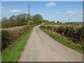 Road approaching Pencarreg Farm