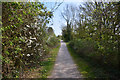 Sedgemoor : Strawberry Line