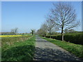 Minor road heading north east from Grafton Flyford