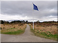 NH7344 : Flags Marking the Jacobite Lines at Culloden by David Dixon