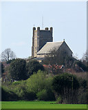 TM4249 : Orford church in the distance by John Sutton