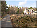 Forest Road at Craigmore