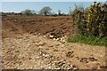 Field near Addisdale