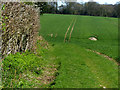 SU7912 : Path near Pitlands Farm by Chris Gunns
