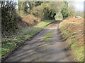 Nutbane lane near Wood View