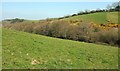 Valley of Moorshead Brook